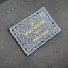 Falsa Louis Vuitton LV SPEEDY BANDOULIÈRE 20 M58953